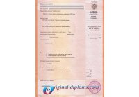 Академическая справка любого год Академическая справка  любого год