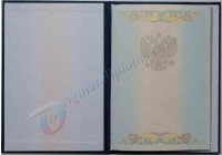 Диплом бакалавра 2004-2009 год Диплом бакалавра  2004-2009 год