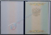 Диплом магистра 2004-2009 год Диплом магистра  2004-2009 год