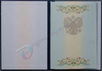 Диплом магистра 2011-2013 год Диплом магистра  2011-2013 год