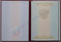 КРАСНЫЙ диплом специалиста (С ОТЛИЧИЕМ) 2004-2009 год КРАСНЫЙ диплом специалиста (С ОТЛИЧИЕМ)  2004-2009 год