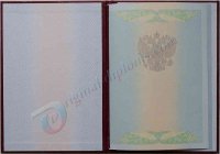 КРАСНЫЙ диплом специалиста (С ОТЛИЧИЕМ) 2009 - 2011 год КРАСНЫЙ диплом специалиста (С ОТЛИЧИЕМ)  2009 - 2011 год