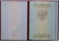 Диплом специалиста 2011-2013 год Диплом специалиста  2011-2013 год