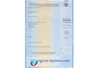 Приложение к диплому (ВУЗ, ССУЗ) любого год Приложение к диплому (ВУЗ, ССУЗ)  любого год