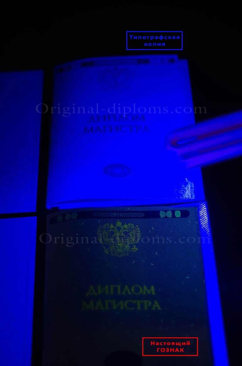 Отличия типографии и ГОЗНАКа Отличия типографии и ГОЗНАКа