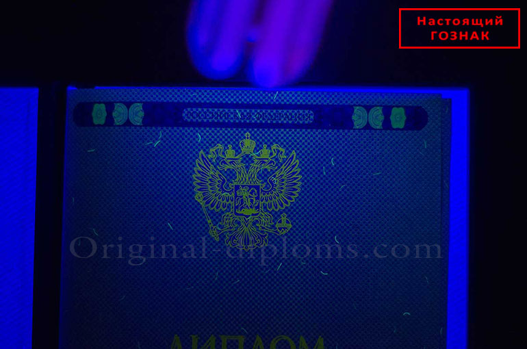 Отличия типографии и ГОЗНАКа Отличия типографии и ГОЗНАКа